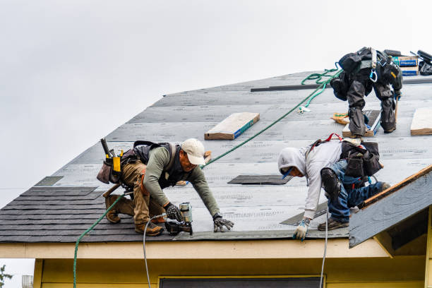 Professional Storm Damage Roof Repair technician working in Montrose, IA